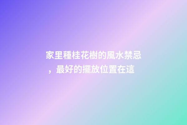 家里種桂花樹的風水禁忌，最好的擺放位置在這